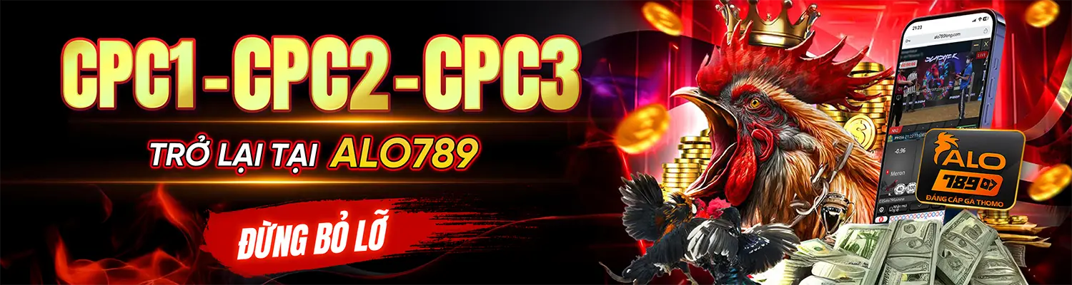 ALO789 TV - Nhà Cái ALO789.COM Cá Cược Đá Gà Thomo Trực Tiếp T9/2026